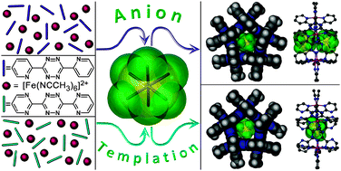 Graphical abstract: Anion-templated self-assembly of highly stable Fe(ii) pentagonal metallacycles with short anion–π contacts
