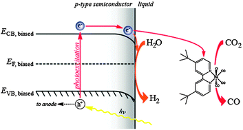 Graphical abstract: Tunable, light-assisted co-generation of CO and H2 from CO2 and H2O by Re(bipy-tbu)(CO)3Cl and p-Si in non-aqueous medium