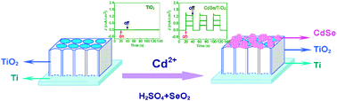 Graphical abstract: A facile and efficient strategy for photoelectrochemical detection of cadmium ions based on in situelectrodeposition of CdSe clusters on TiO2 nanotubes