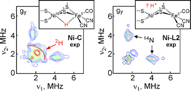 Graphical abstract: Spectroscopic characterization of the key catalytic intermediate Ni–C in the O2-tolerant [NiFe] hydrogenase I from Aquifex aeolicus: evidence of a weakly bound hydride