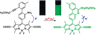 Graphical abstract: A novel fluorescent probe for Au(iii)/Au(i) ions based on an intramolecular hydroamination of a Bodipy derivative and its application to bioimaging