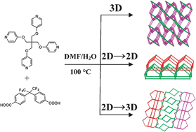 Graphical abstract: Three self-penetrated, interlocked, and polycatenated supramolecular isomers via one-pot synthesis and crystallization