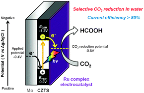 Graphical abstract: Selective CO2 conversion to formate in water using a CZTS photocathode modified with a ruthenium complex polymer