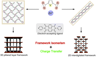 Graphical abstract: Control of the charge-transfer interaction between a flexible porous coordination host and aromatic guests by framework isomerism