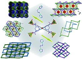 Graphical abstract: Unusual 3D ZnII coordination networks with mixed tetrahedral and square-planar building units: from 2-fold interpenetrating bbf architecture to self-penetrating 86 topological frameworks