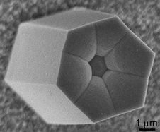 Graphical abstract: Facile hydrothermal fabrication of hollow hexagonal hydroxyapatite prisms