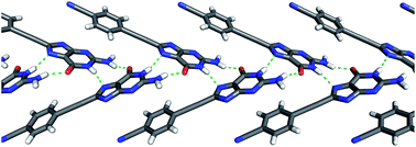Graphical abstract: Crystal structures of 8-arylethynyl substituted guanosine derivatives: are hydrogen-bonded ribbons a surprise?