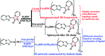 Graphical abstract: Magnetic and luminescent properties of Cd(ii)- and Fe(ii)-anion radical frameworks: various networks or structures influenced by metal ion sizes or in situ forming mechanisms of anion radical ligand
