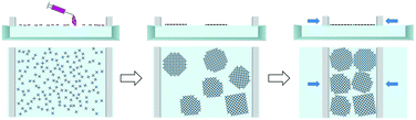 Graphical abstract: Self-assembly of highly crystalline two-dimensional MOF sheets on liquid surfaces