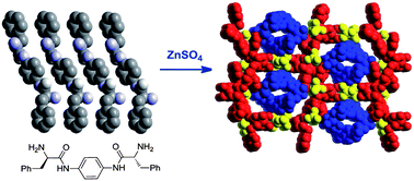 Graphical abstract: Zinc(ii) coordination polymers with pseudopeptidic ligands