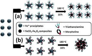 Graphical abstract: Preparation of FeCO3–Fe3O4 nanoparticles and flower-like assembliesvia a one-step hydrothermal method