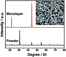 Graphical abstract: Semiconductor monolayer assemblies with oriented crystal faces