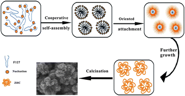 Graphical abstract: Self-assembly fabrication of 3D flower-like ZnO hierarchical nanostructures and their gas sensing properties