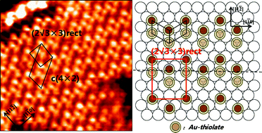 Graphical abstract: Relationship between the c(4×2) and the (√3×√3)R30° phases in alkanethiol self-assembled monolayers on Au(111)