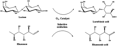 Graphical abstract: Kinetics of lactose and rhamnose oxidation over supported metal catalysts
