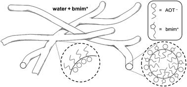 Graphical abstract: Aerosol-OT in water forms fully-branched cylindrical direct micelles in the presence of the ionic liquid 1-butyl-3-methylimidazolium bromide