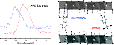 Graphical abstract: Intercalation and grafting of benzene derivatives into zinc–aluminum and copper–chromium layered double hydroxide hosts: an XPS monitoring study