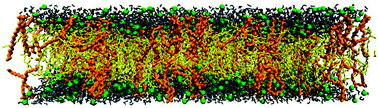 Graphical abstract: Structure and order of DODAB bilayers modulated by dicationic gemini surfactants