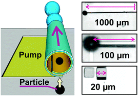 Graphical abstract: Tunable catalytic tubular micro-pumps operating at low concentrations of hydrogen peroxide