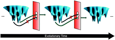 Graphical abstract: The shape-shifting quasispecies of RNA: one sequence, many functional folds