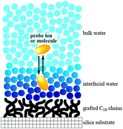 Graphical abstract: Interfacial water on hydrophobic surfaces recognized by ions and molecules