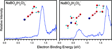 Graphical abstract: Microscopic solvation of NaBO2 in water: anion photoelectron spectroscopy and ab initio calculations