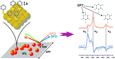 Graphical abstract: A multiscale description of molecular adsorption on gold nanoparticles by nonlinear optical spectroscopy