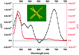 Graphical abstract: Steady-state photoinduced absorption of CdSe/CdS octapod shaped nanocrystals