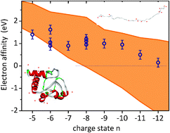 Graphical abstract: Probing electrostatic interactions and structural changes in highly charged protein polyanions by conformer-selective photoelectron spectroscopy