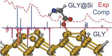 Graphical abstract: Reliable structural, thermodynamic, and spectroscopic properties of organic molecules adsorbed on silicon surfaces from computational modeling: the case of glycine@Si(100)