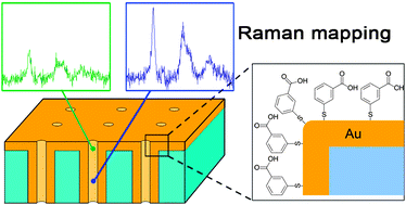 Graphical abstract: Raman spectroscopy probing of self-assembled monolayers inside the pores of gold nanotube membranes