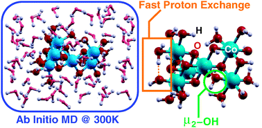 Graphical abstract: Protonation states in a cobalt-oxide catalyst for water oxidation: fine comparison of ab initio molecular dynamics and X-ray absorption spectroscopy results