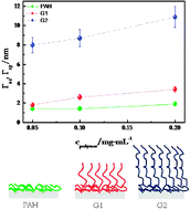 Graphical abstract: Influence of the molecular architecture on the adsorption onto solid surfaces: comb-like polymers