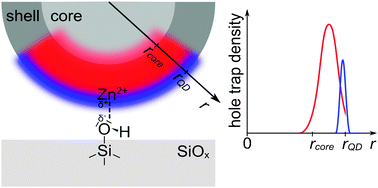 Graphical abstract: Photoinduced hole trapping in single semiconductor quantum dots at specific sites at silicon oxide interfaces
