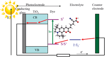 Graphical abstract: Coumarin derivatives for dye sensitized solar cells: a TD-DFT study