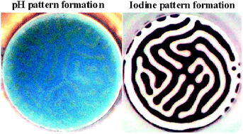 Graphical abstract: Pattern formation in the iodate–sulfite–thiosulfate reaction–diffusion system