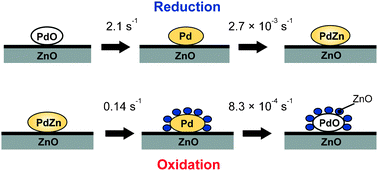 Graphical abstract: Formation and oxidation mechanisms of Pd–Zn nanoparticles on a ZnO supported Pd catalyst studied by in situ time-resolved QXAFS and DXAFS