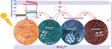 Graphical abstract: Nanoscale connectivity in a TiO2/CdSe quantum dots/functionalized graphene oxide nanosheets/Au nanoparticles composite for enhanced photoelectrochemical solar cell performance