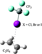 Graphical abstract: C–X⋯π halogen and C–H⋯π hydrogen bonding: interactions of CF3X (X = Cl, Br, I or H) with ethene and propene