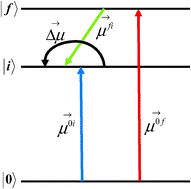Graphical abstract: Solvent induced channel interference in the two-photon absorption process—a theoretical study with a generalized few-state-model in three dimensions