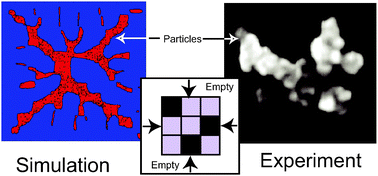 Graphical abstract: Evaporation-induced formation of fractal-like structures from nanofluids