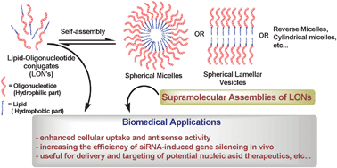 Graphical abstract: Hybrid lipid oligonucleotide conjugates: synthesis, self-assemblies and biomedical applications