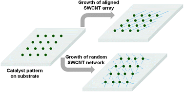 Graphical abstract: Controlled growth of single-walled carbon nanotubes on patterned substrates