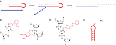 Graphical abstract: Control of DNA hybridization by photoswitchable molecular glue