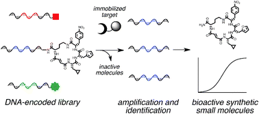 Graphical abstract: Small-molecule discovery from DNA-encoded chemical libraries