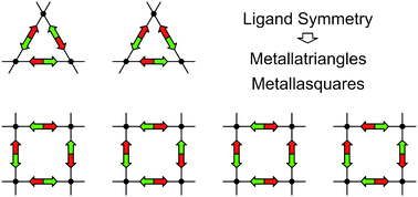 Graphical abstract: Metallatriangles and metallasquares: the diversity behind structurally characterized examples and the crucial role of ligand symmetry