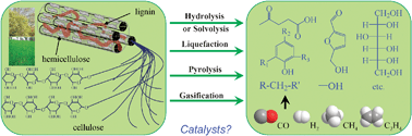 Graphical abstract: Catalytic conversion of lignocellulosic biomass to fine chemicals and fuels