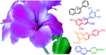 Graphical abstract: Chemistry and applications of flavylium compounds: a handful of colours