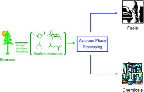 Graphical abstract: Transformations of biomass-derived platform molecules: from high added-value chemicals to fuelsvia aqueous-phase processing