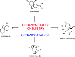 Graphical abstract: Enantioselective methodologies for the synthesis of spiro compounds